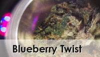 Blueberry Twist