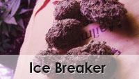 Ice Breaker