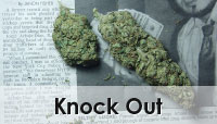 Knock Out